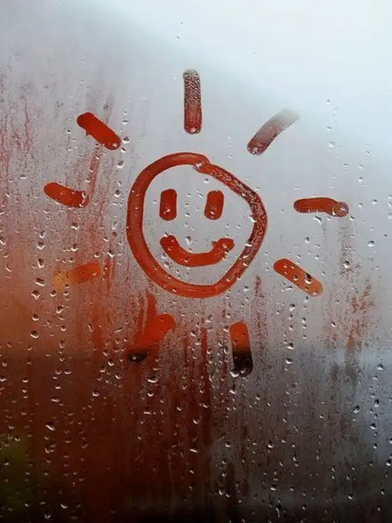 cute nature dp for whatsapp cute nature dp for whatsapp